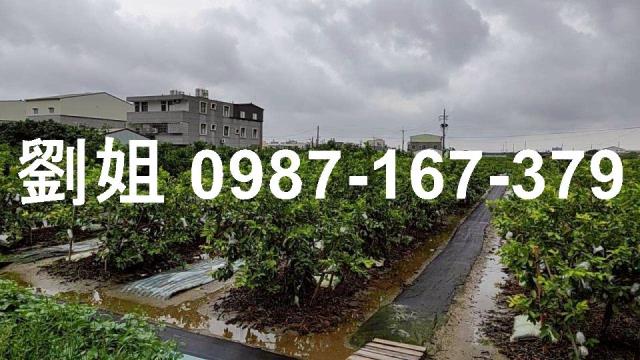 高雄阿蓮廠房_倉庫-2