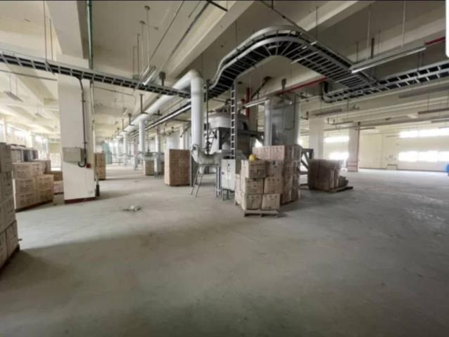 桃園廠房_廠辦-2