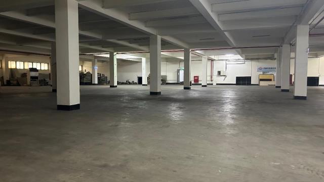 桃園觀音廠房_廠辦_倉庫-1