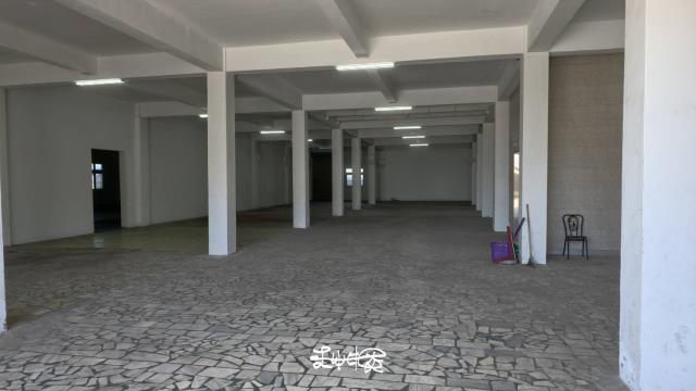 桃園大園廠房_廠辦_倉庫-2