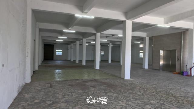 桃園大園廠房_廠辦_倉庫-3