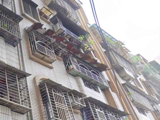 樹林法拍公寓_三樓-3