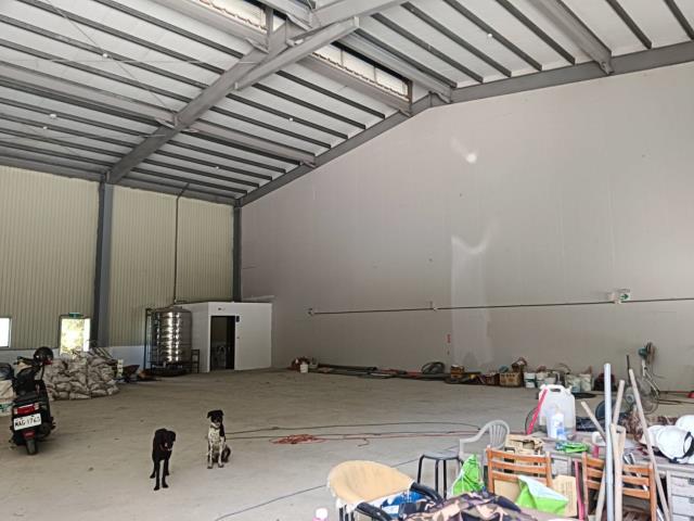 樹林廠房_廠辦_倉庫-4