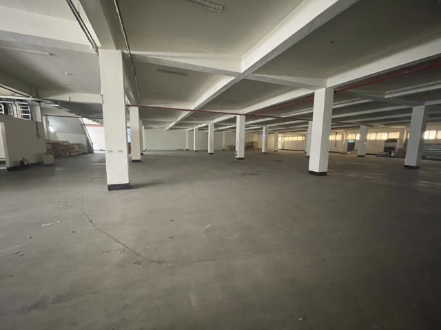 觀音廠房_廠辦_倉庫-2