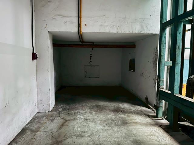 東區華廈-13
