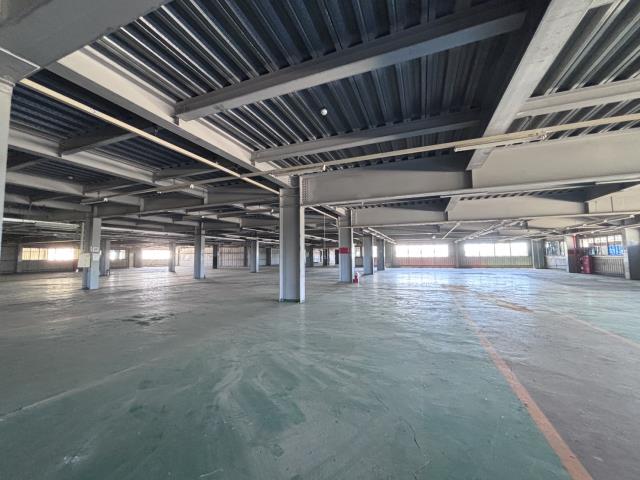 桃園大園廠房_廠辦_倉庫-2