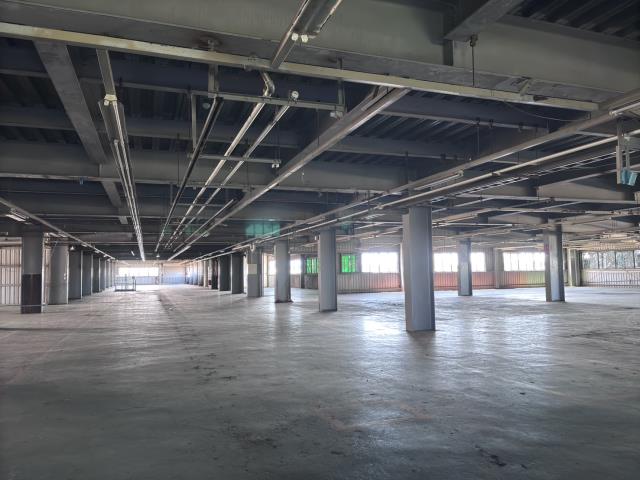 桃園大園廠房_廠辦_倉庫-3