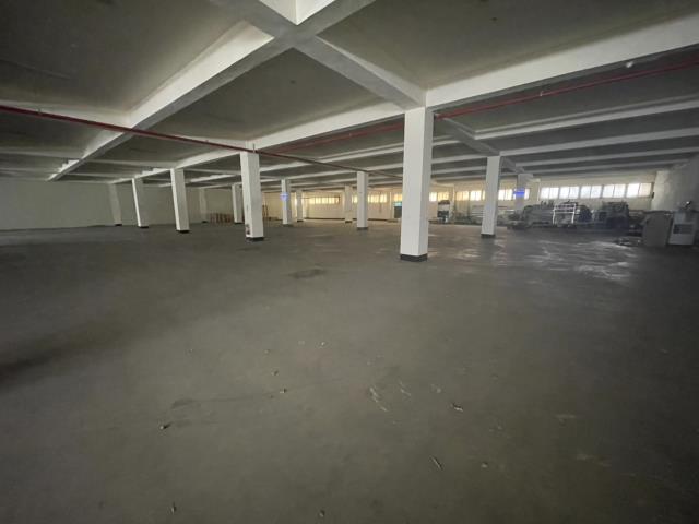 觀音廠房_廠辦_倉庫-6