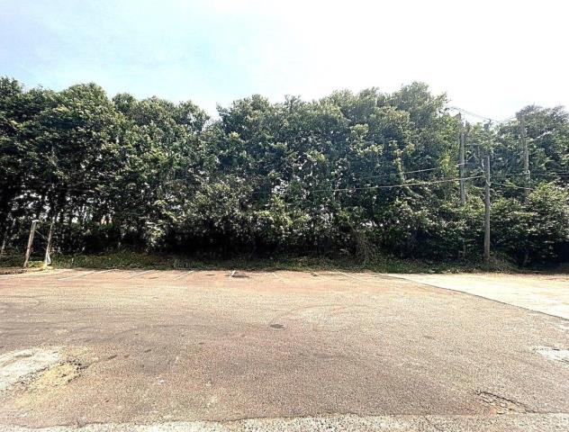桃園新屋廠房_廠辦_倉庫-5