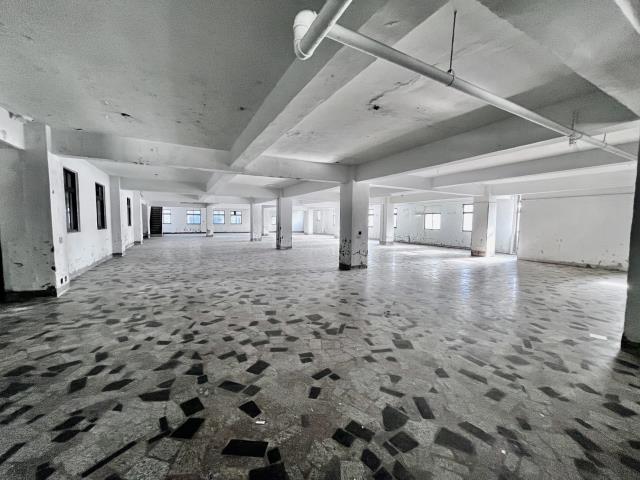 桃園桃園區廠房_廠辦_倉庫-2