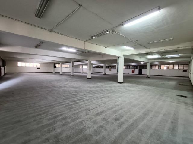 桃園楊梅廠房-2