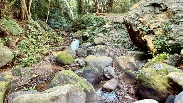 南庄透天_別墅-15