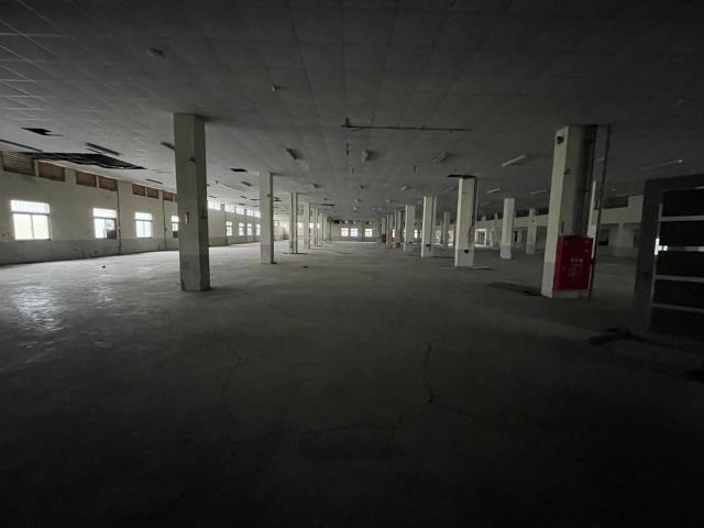 桃園廠房-3