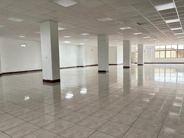 蘆竹廠房_倉庫-2