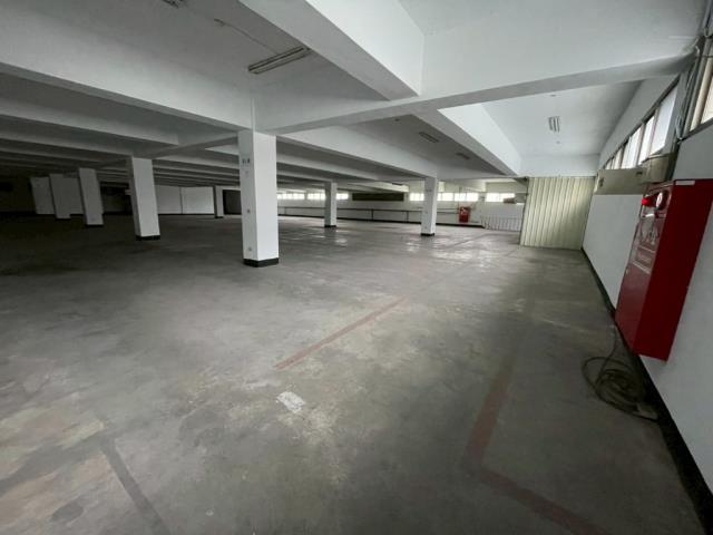 桃園廠房_倉庫-1