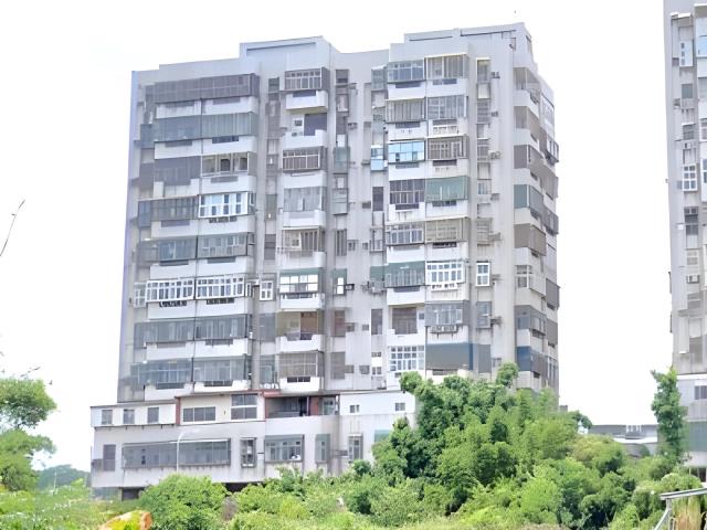 桃園平鎮法拍大樓_華廈_附夾層增建-2