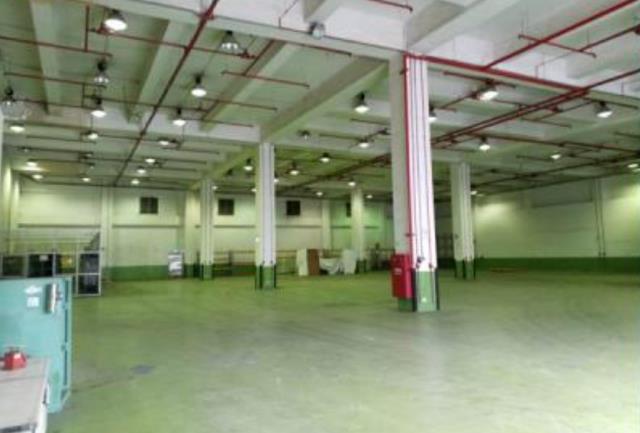 桃園大園廠房_倉庫-1