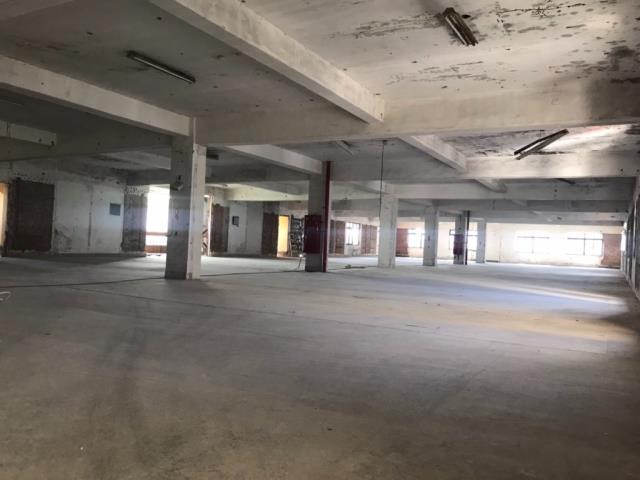 平鎮廠房_廠辦_倉庫-1