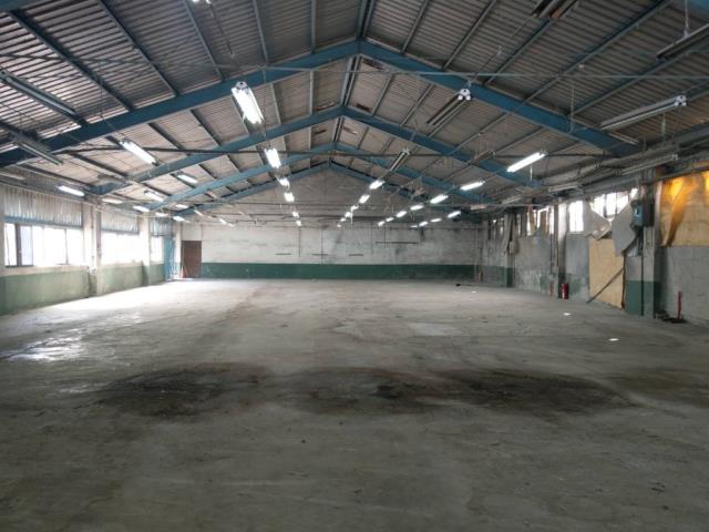 桃園八德廠房_倉庫-1