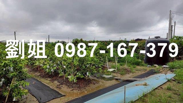 高雄阿蓮廠房_倉庫-3