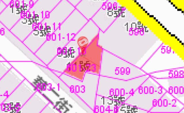 屏東市法拍透天_一樓-9