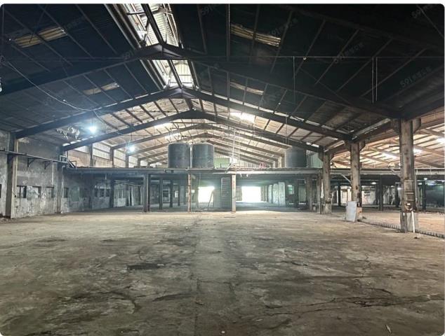 桃園中壢廠房-5
