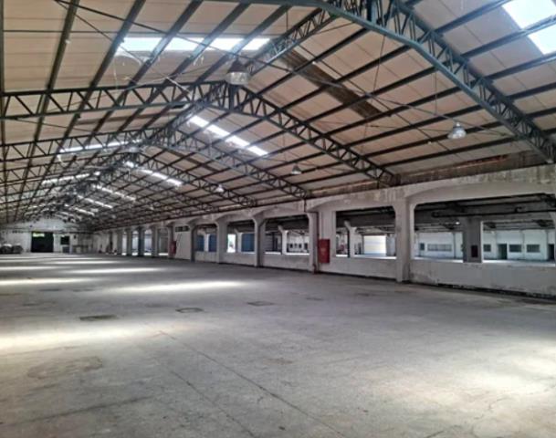 楊梅廠房_廠辦_倉庫-3