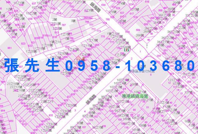 東港透天法拍-4