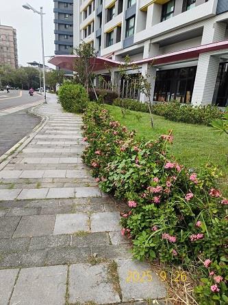 竹東法拍大樓-6