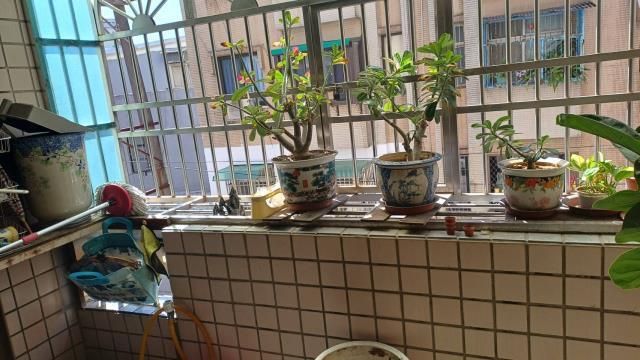 桃園大樓_華廈-10