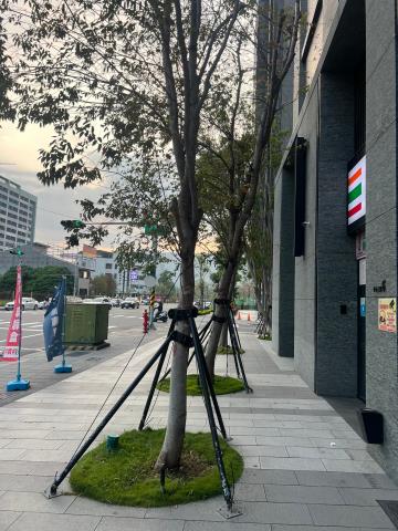 三民區法拍大樓-4