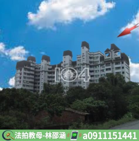 高雄大寮法拍大樓_華廈-9