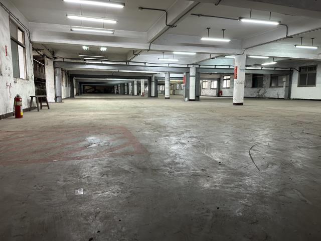 新北五股廠房_廠辦_倉庫-2