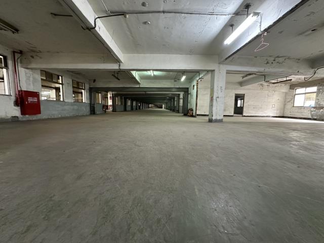 新北五股廠房_廠辦_倉庫-3