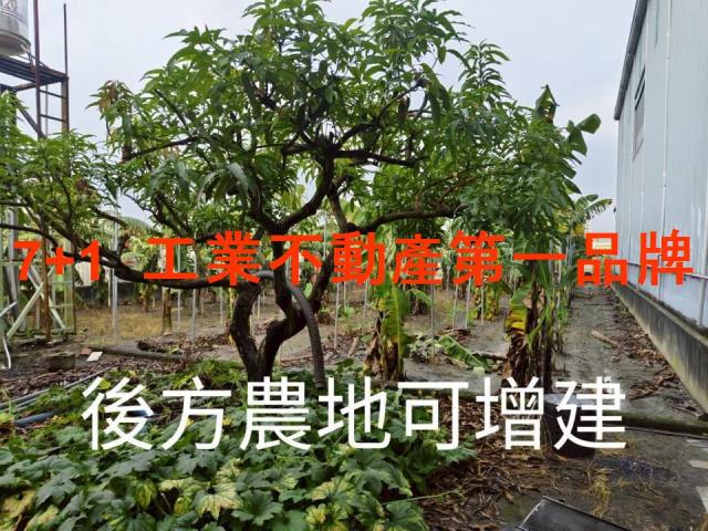 大寮廠房_廠辦_倉庫-3