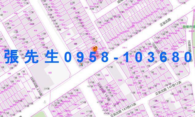 台東台東市法拍透天-3