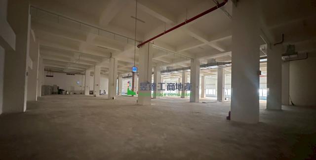 新竹湖口廠房-2