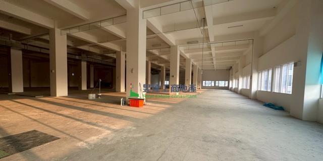 新竹湖口廠房-1