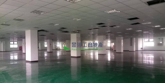 桃園楊梅廠房-1