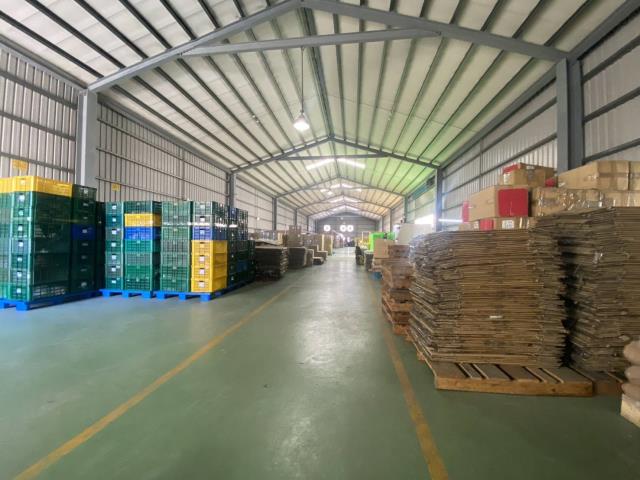桃園廠房_廠辦_倉庫-4