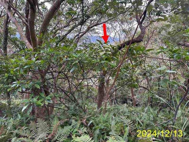 台北士林公寓_外雙溪郵局拍賣-8