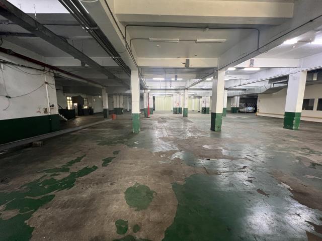 桃園區廠房_廠辦_倉庫-6