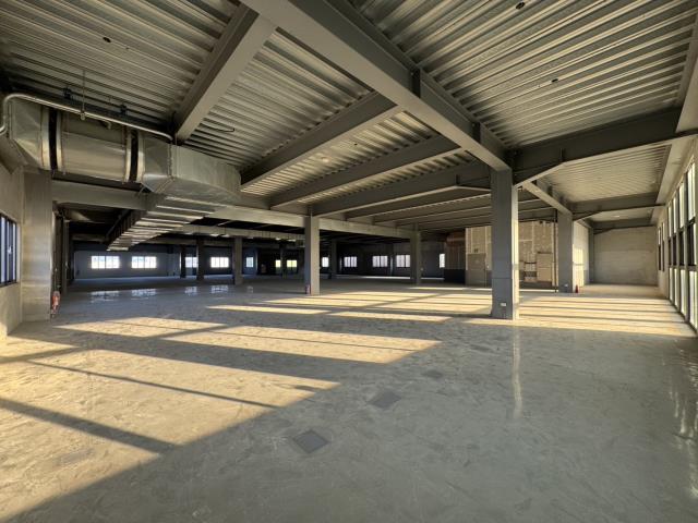 桃園八德廠房-5