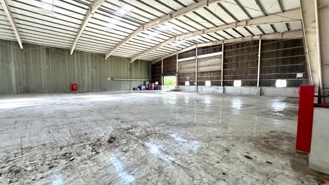 桃園新屋廠房-2