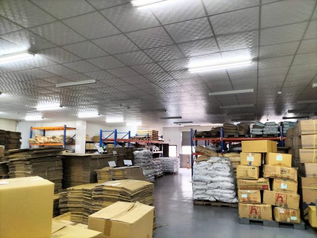 后里廠房_廠辦_倉庫-5