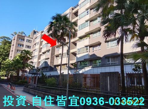 新北新店法拍華廈-4