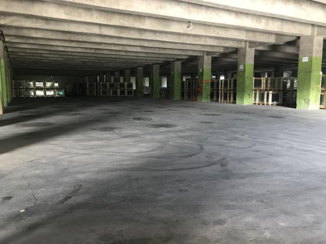 苗栗頭份廠房_廠辦_倉庫-4