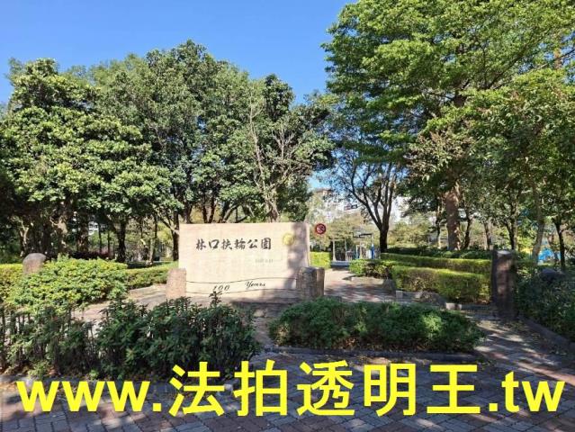 林口法拍大樓-9