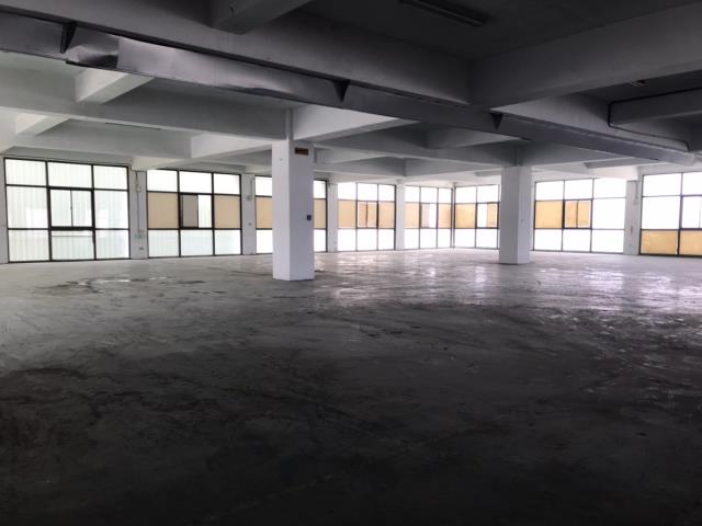 平鎮廠房_廠辦_倉庫-1