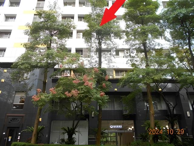 台北大樓法拍-0